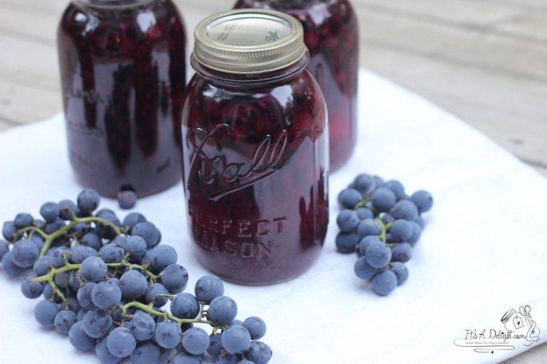 Visiting a Vineyard It's A Delight!