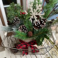Snowy painted pinecones