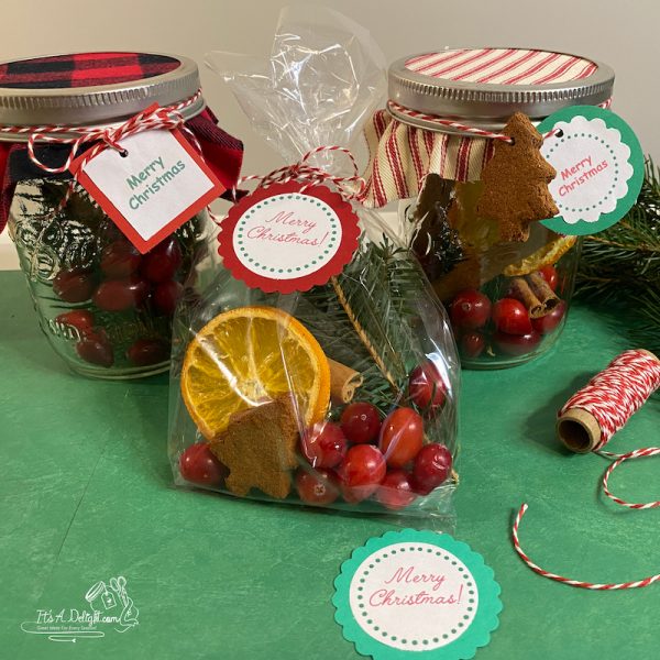 Easy Simmering Cranberry Potpourri Gift