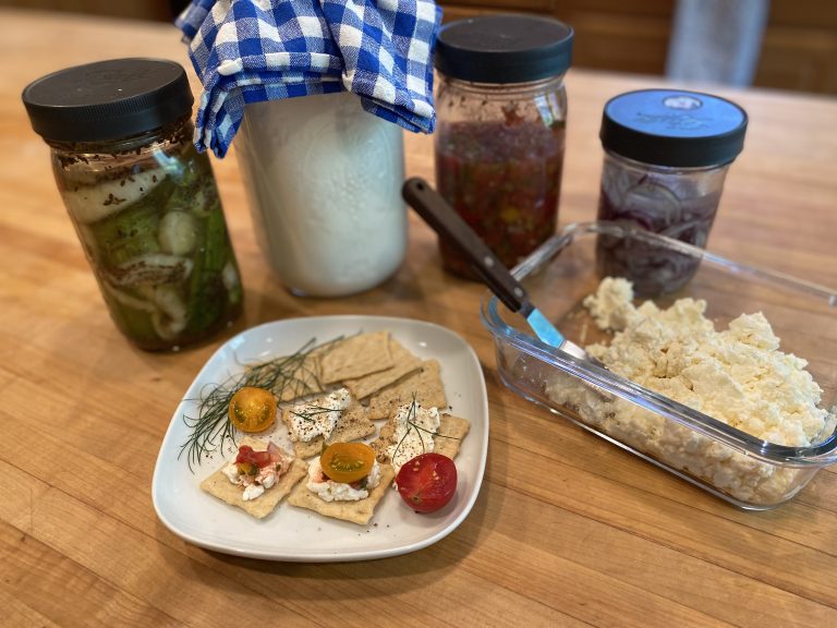 Fermenting Course Online - Its A Delight