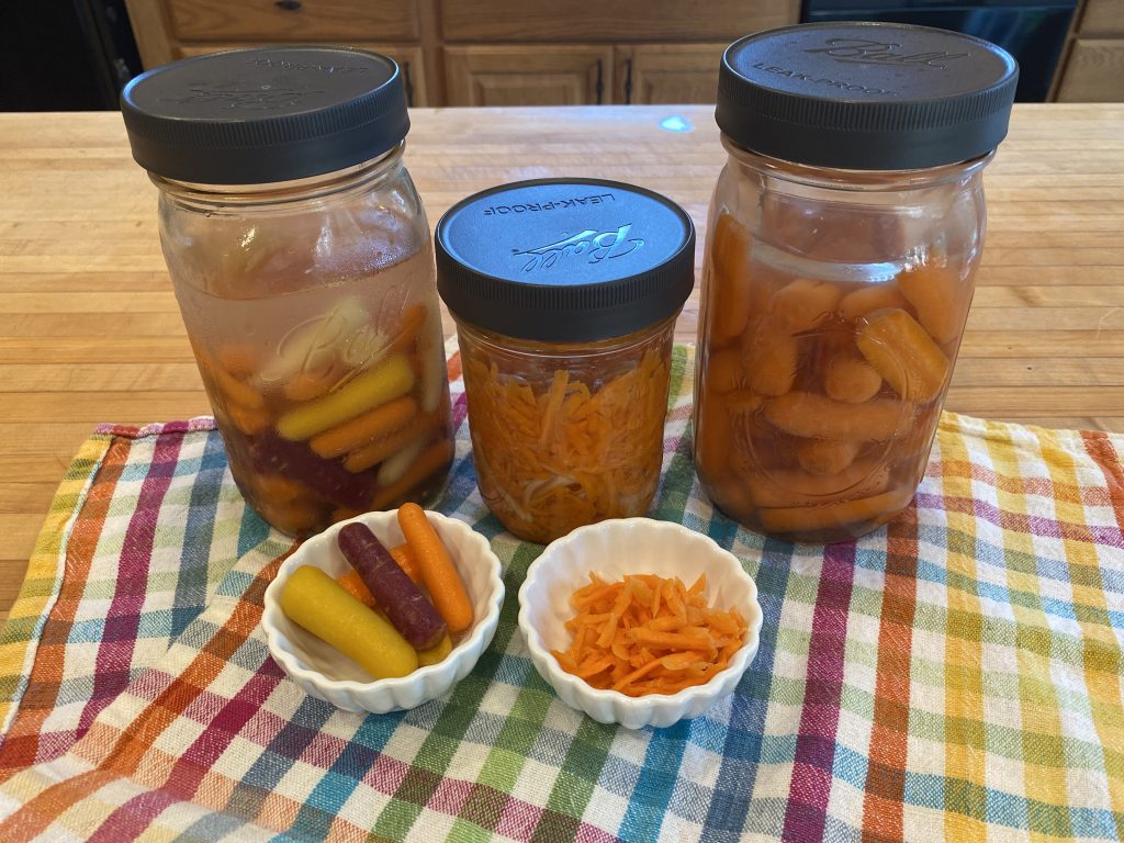 carrot shreds fermenting course
